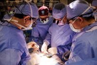 New York temporarily shuts down live bird markets in several counties after bird flu detected in poultry