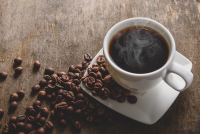 Part grueling race, part field study